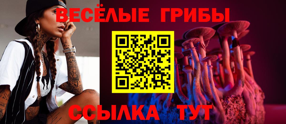 даркнет сайт  Галлюциногенные грибы Magic Shrooms  Энгельс  Вход с VPN  Псилоцибиновые грибы прущие грибы 
