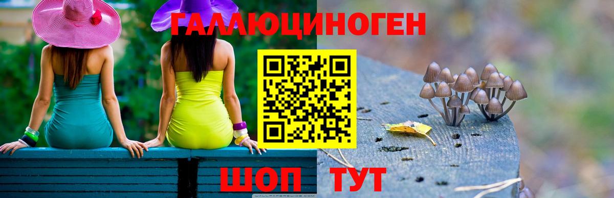Псилоцибиновые грибы прущие грибы Энгельс
